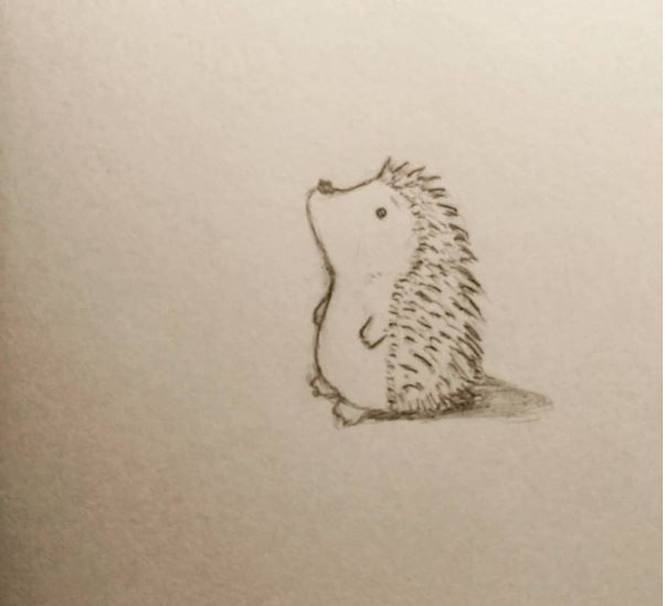 Various Hedgehog Drawings and Paintings by Dezigning Art